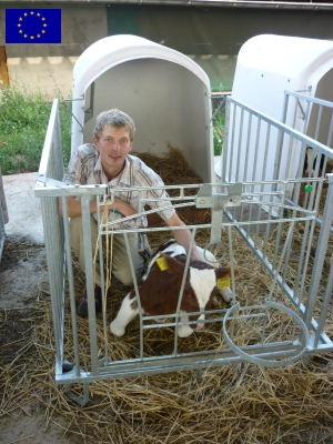 Dipl.-Agraringenieur Marcel Bröse gemeinsam mit einem Kalb.