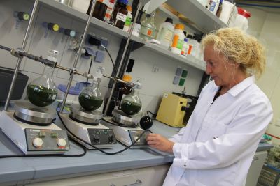 BioSolutions Halle GmbH Forschung Biochemie