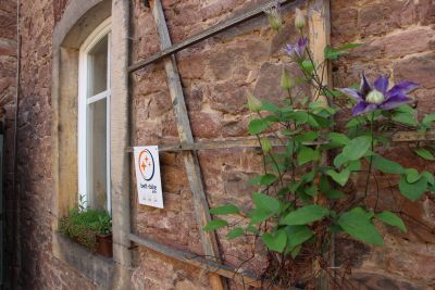 Das Bild zeigt eine blumenberankte Wand mit Fenster. An der Wand befindet sich ein Schild bett + bike adfc (Foto: Ministerium der Finanzen LSA)