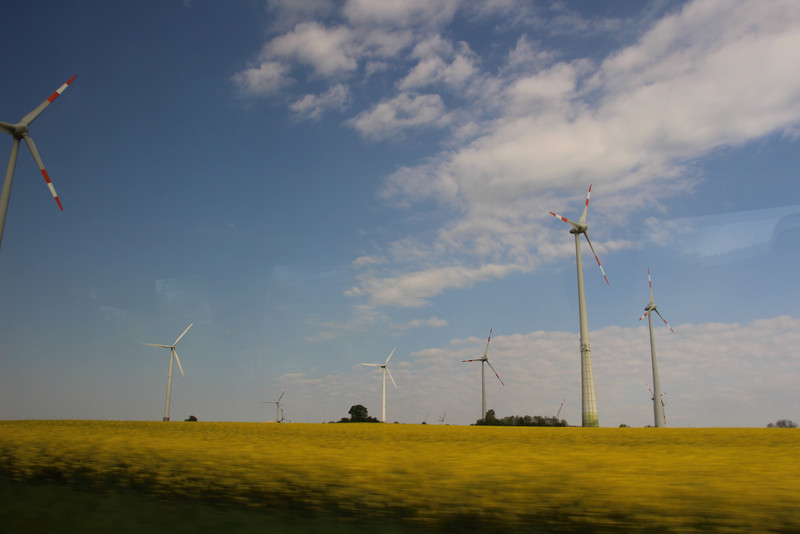 Das Foto zeigt Windräder auf einem Rapsfeld.