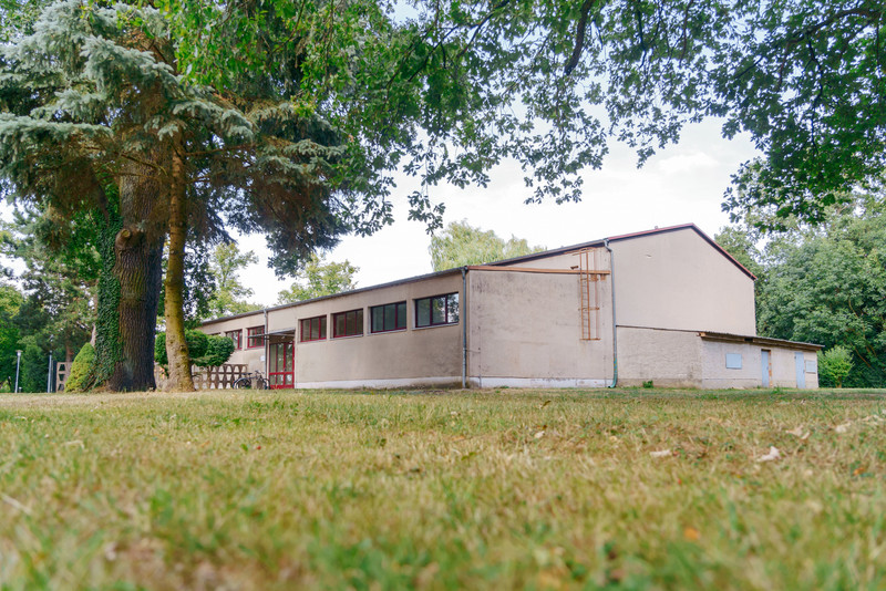 Turnhalle Iden von außen mit Baum und Wiese