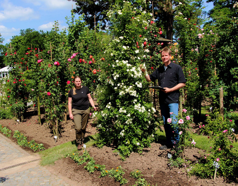 Gerhild Schulz und Thomas Hawel im Rosengarten