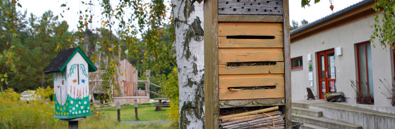 Waldhaus am Bergwitzsee, Insektenhotel