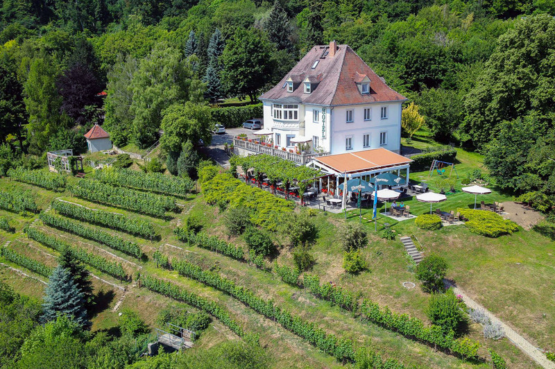 Das Bild zeigt die Villa Ilske. 